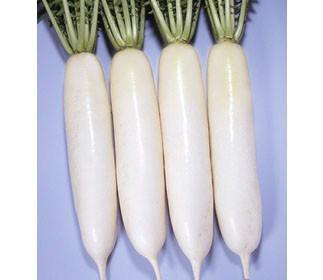 食用白蘿卜有什么好處？
